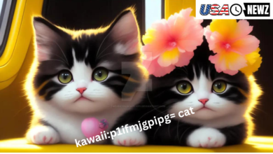 kawaii:p1ifmjgpipg= cat