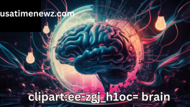 clipart:ee-zgj_h1oc= brain