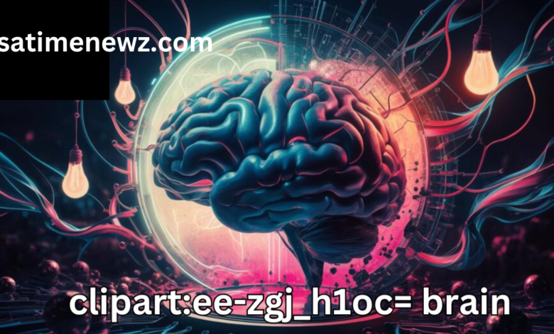 clipart:ee-zgj_h1oc= brain