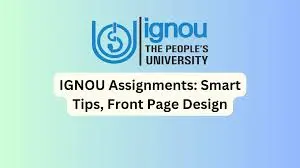 ignou assignment 2024 your guide to success